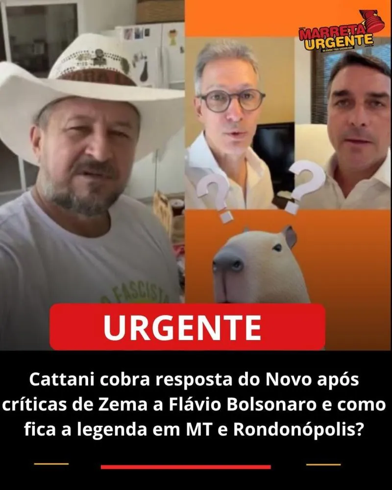 Cattani cobra resposta do Novo após críticas de Zema a Flávio Bolsonaro